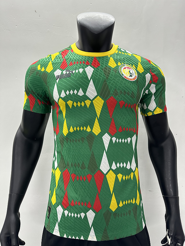 2023 Senegal Home Player Version Soccer Jerseys Yupoo