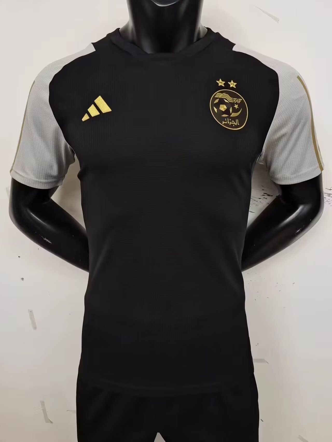 23-24 Algeria Player Version Soccer Jerseys Yupoo