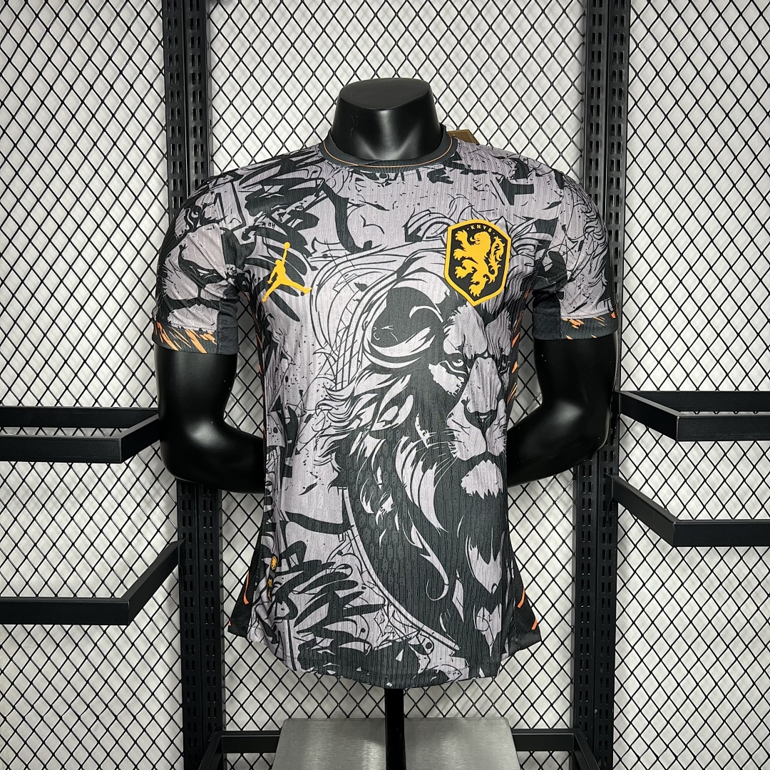 Netherlands 2024/25 Euro Jordan Version Jersey Player Version