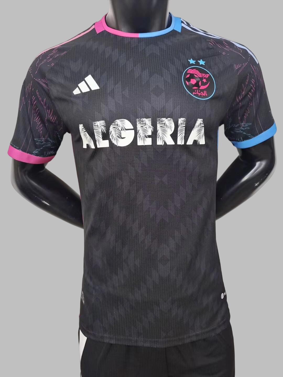 24-25 Algeria Special Soccer Jerseys- Player Version