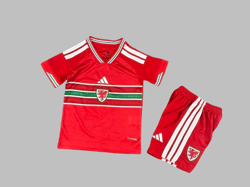 25-26 Welsh Home Kids Cheap Soccer Jerseys Yupoo