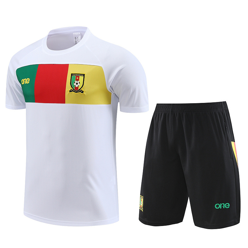 23-24 Cameroon Training Soccer Jerseys Yupoo