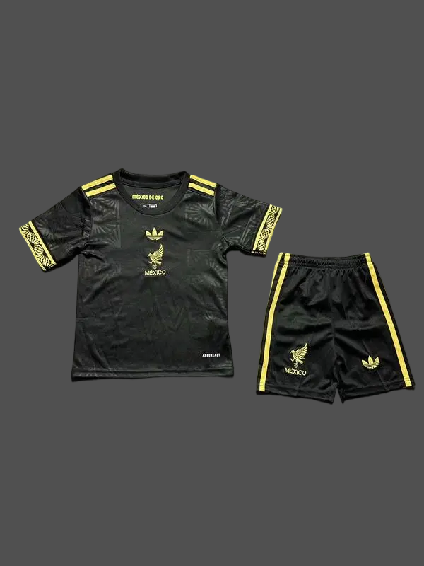 25-26 Mexico Kids Cheap Soccer Jerseys Yupoo
