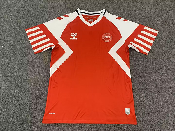 2023 Denmark Home Soccer Jerseys Yupoo