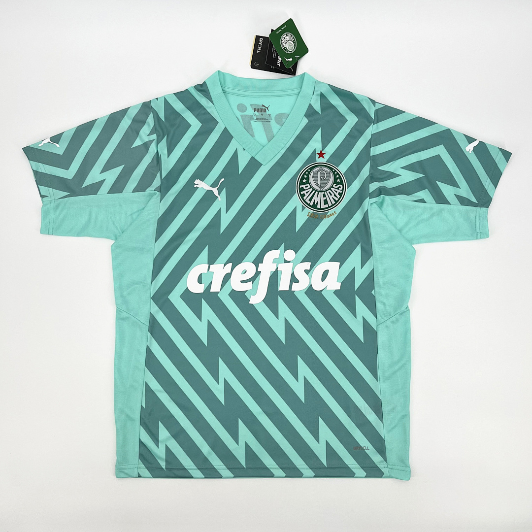 Palmeiras 2024/25 Goleiro Verde Jersey S-XXXXL