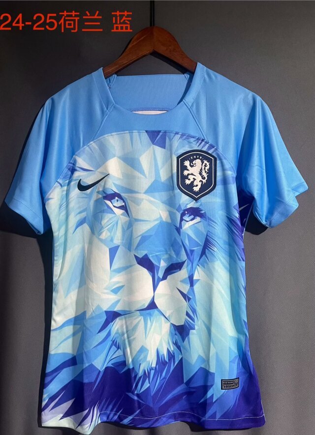 2024 Netherlands Training Soccer Jerseys Yupoo