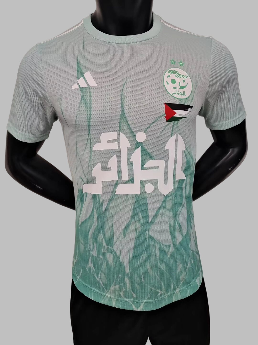 24-25 Algeria Special Soccer Jerseys- Player Version