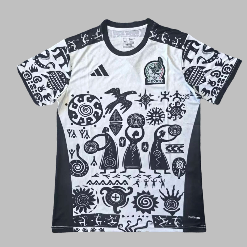 25-26 Mexico Special Cheap Soccer Jerseys Yupoo