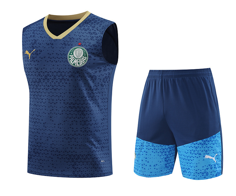 24-25 Palmeiras Soccer Vest Yupoo
