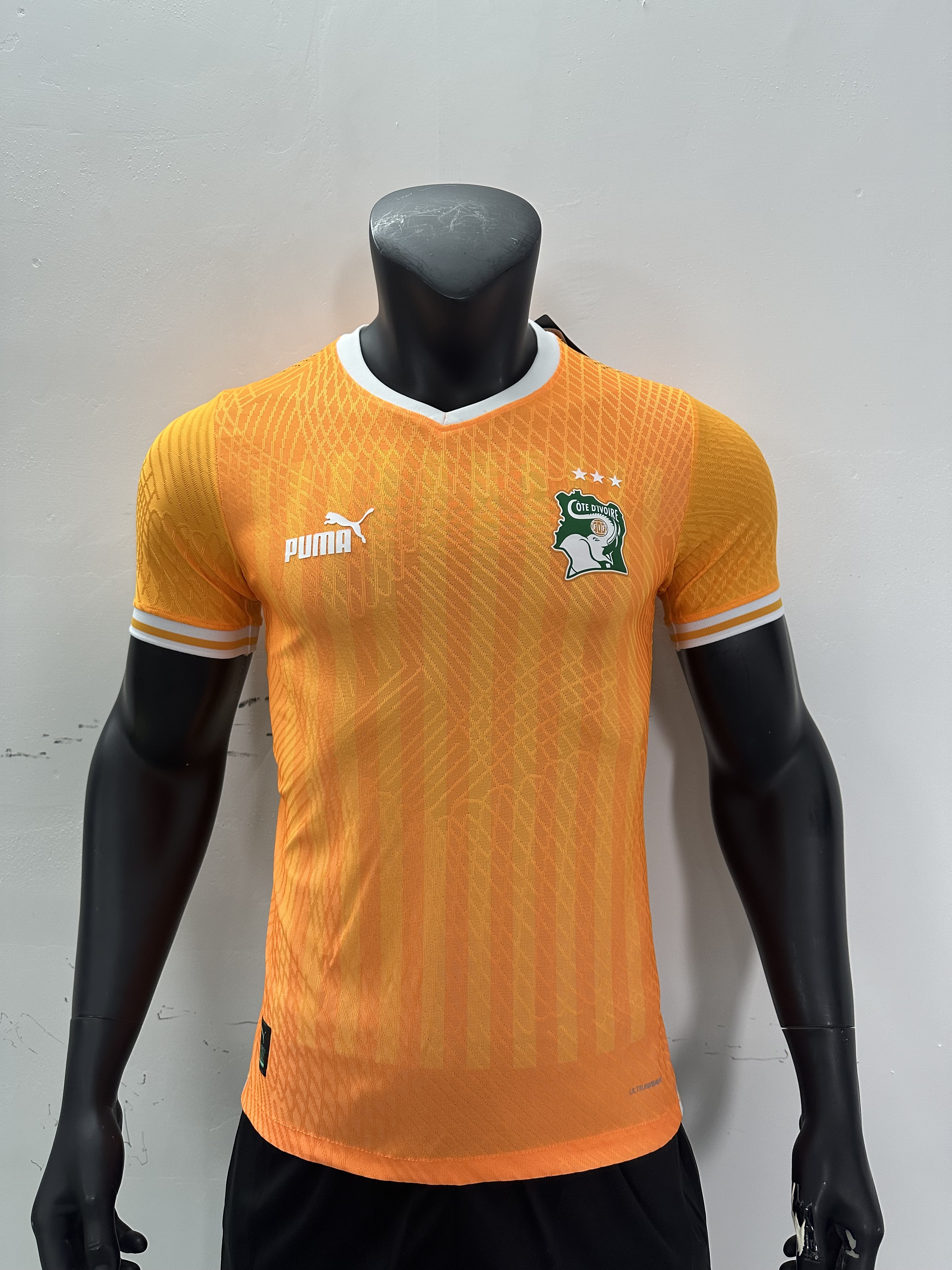 2023 Cote d'Ivoire Training Player Version Soccer Jerseys Yupoo