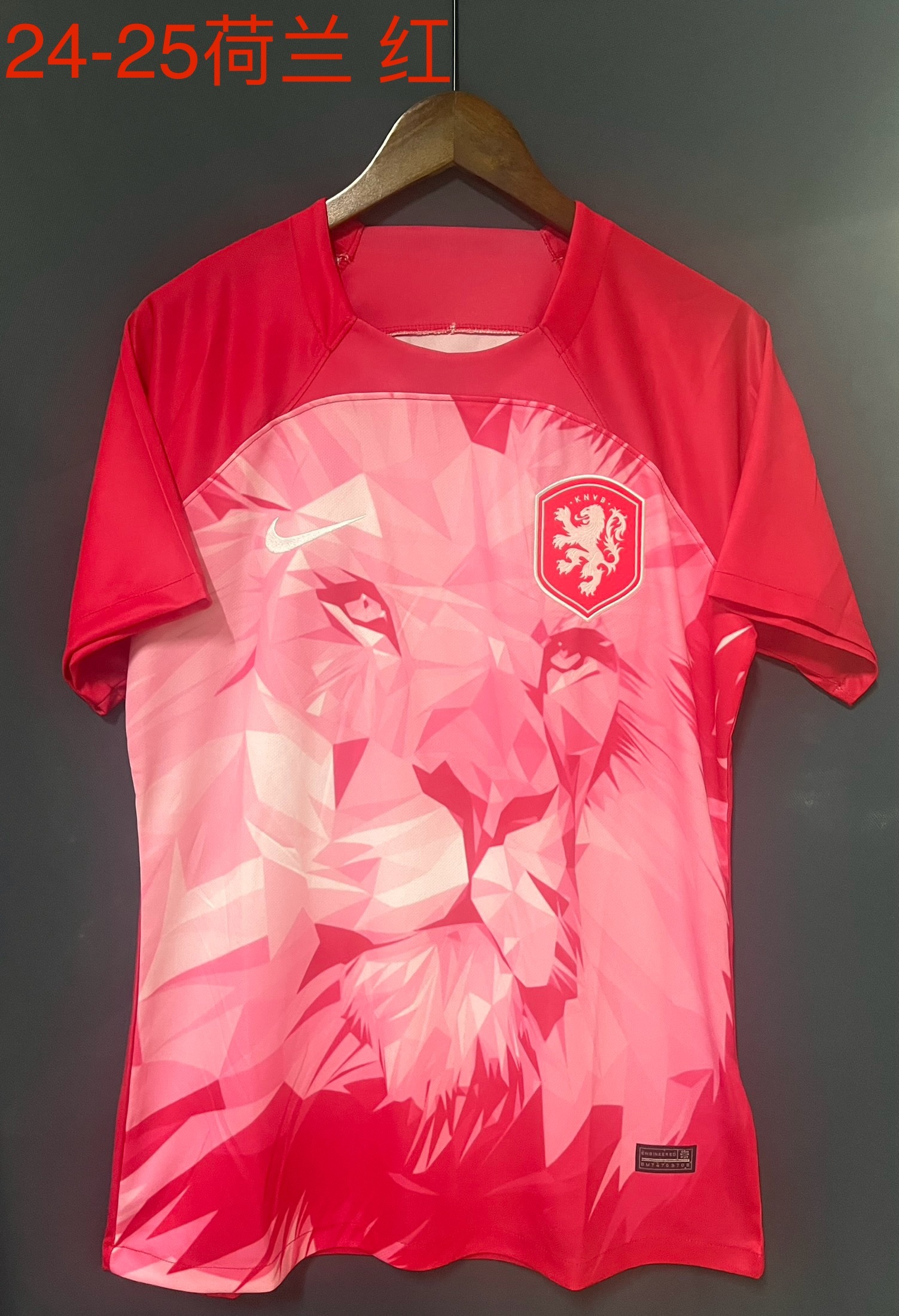 2024 Netherlands Special Soccer Jerseys Yupoo