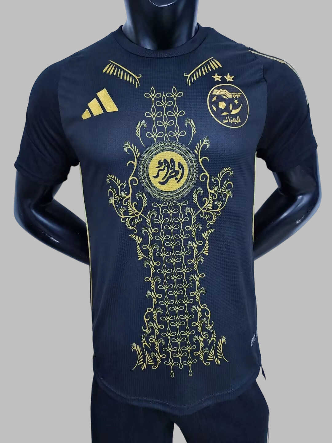 25-26 Algeria Special Soccer Jerseys- Player Version