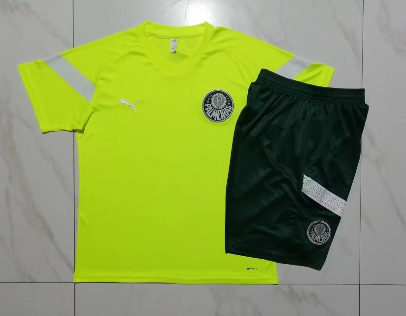 23-24 Palmeiras Training Soccer Jerseys Yupoo
