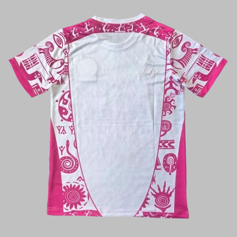 25-26 Mexico Special Cheap Soccer Jerseys Yupoo