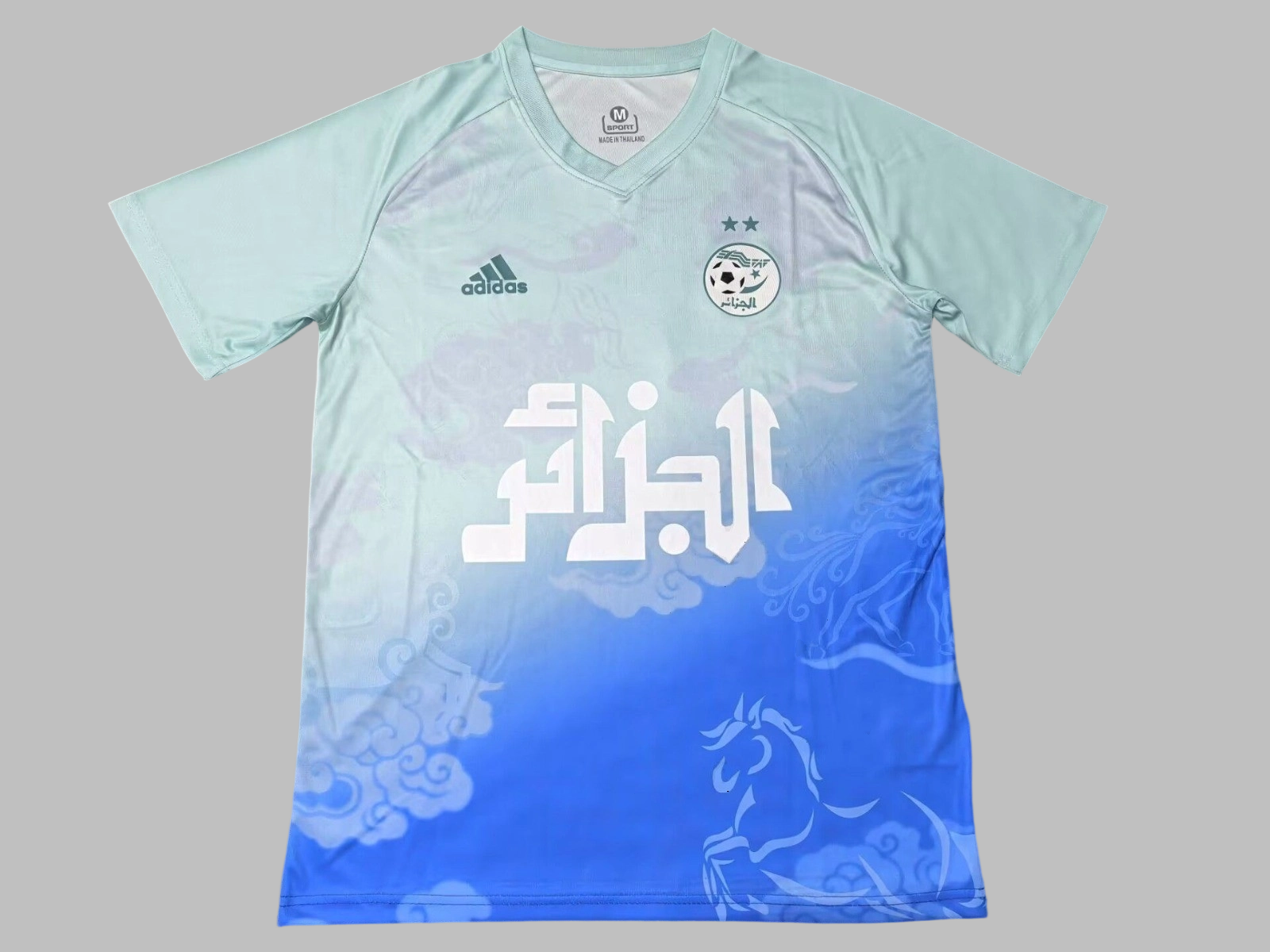 25-26 Algeria Special Jersey