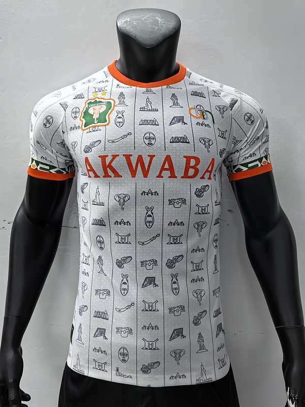 2023 Ivory Coast Player Version Training Soccer Jerseys Yupoo