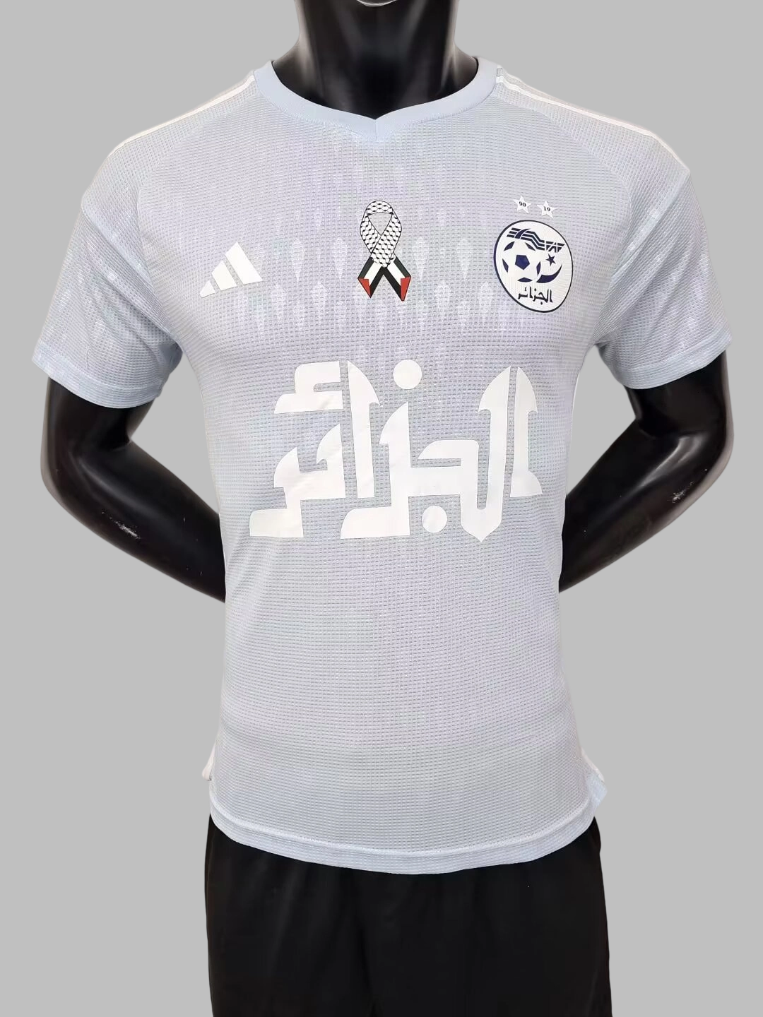 24-25 Algeria Special Soccer Jerseys- Player Version