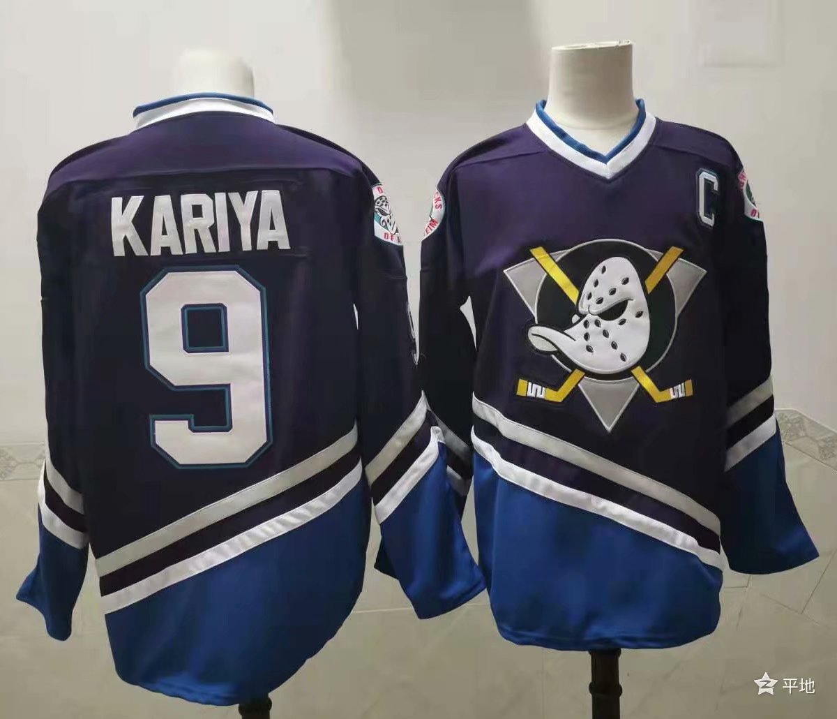 Anaheim Ducks 安纳海姆鸭队