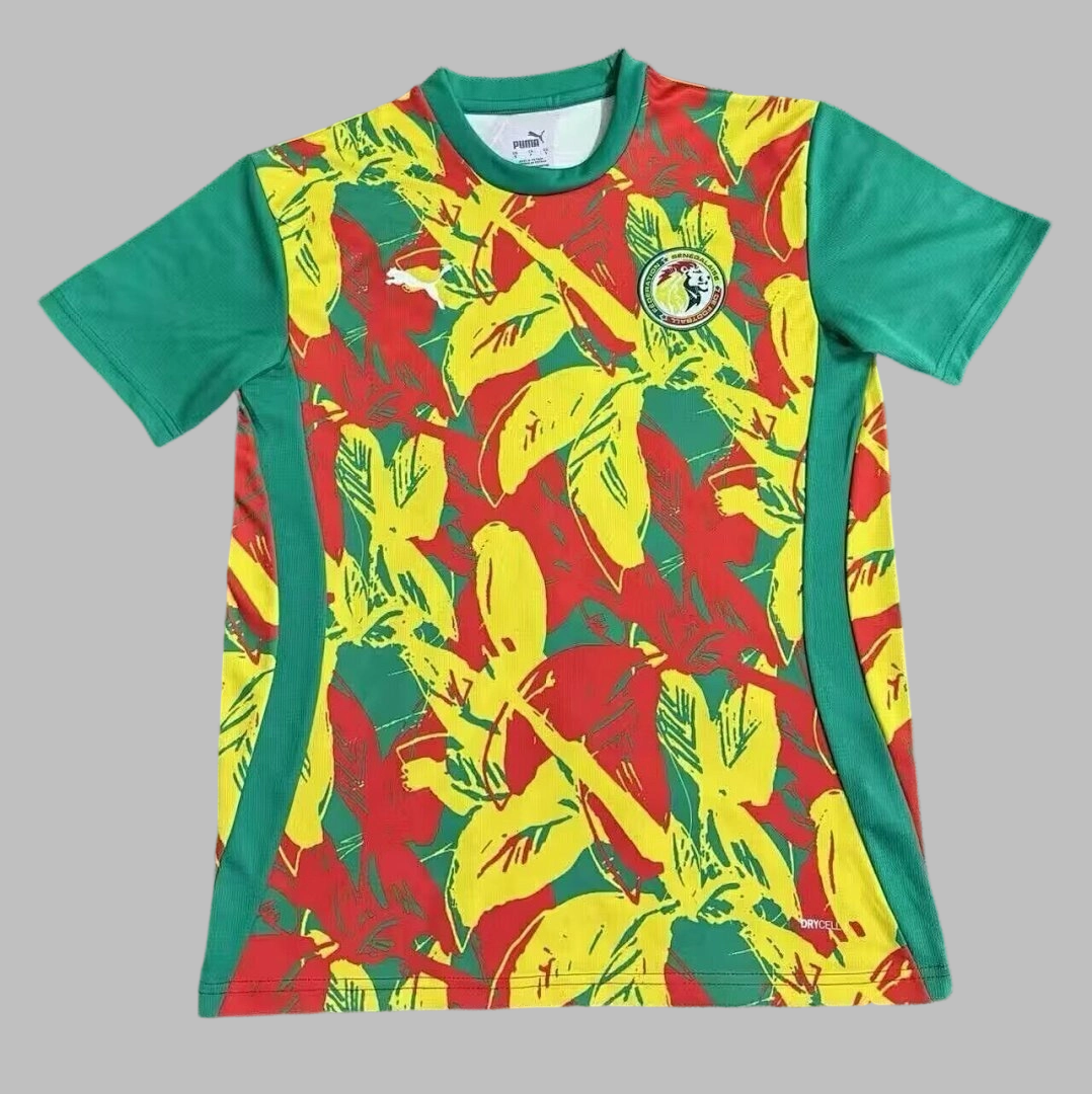 2025 Senegal Cheap Soccer Jerseys Yupoo
