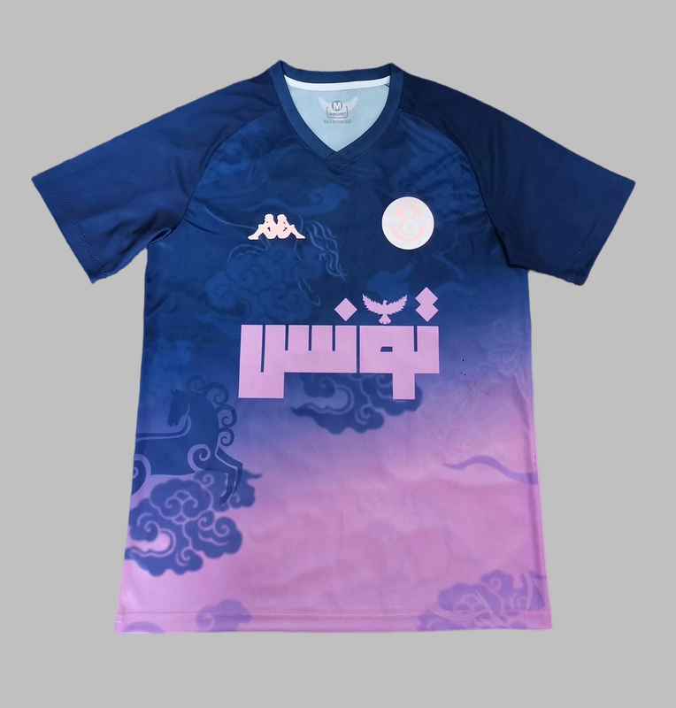 25-26 Tunisia Training Cheap Soccer Jerseys Yupoo