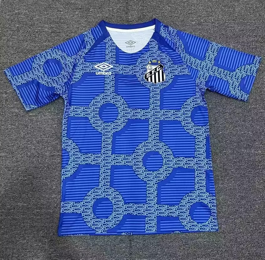 24-25 Santos Training Soccer Jerseys Yupoo