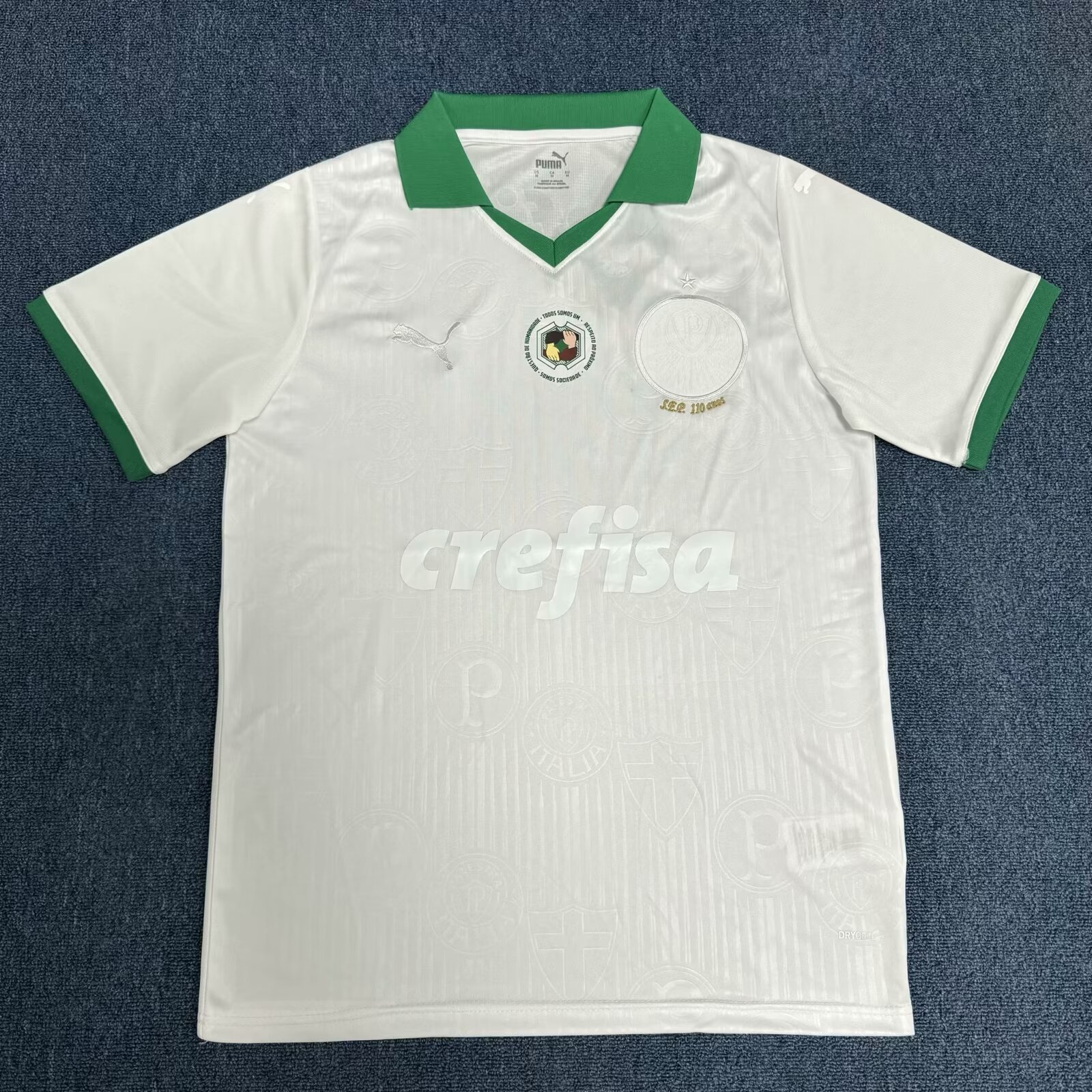 24-25 Palmeiras Special Soccer Jerseys Yupoo