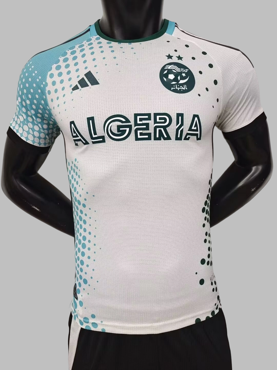 24-25 Algeria Special Soccer Jerseys- Player Version