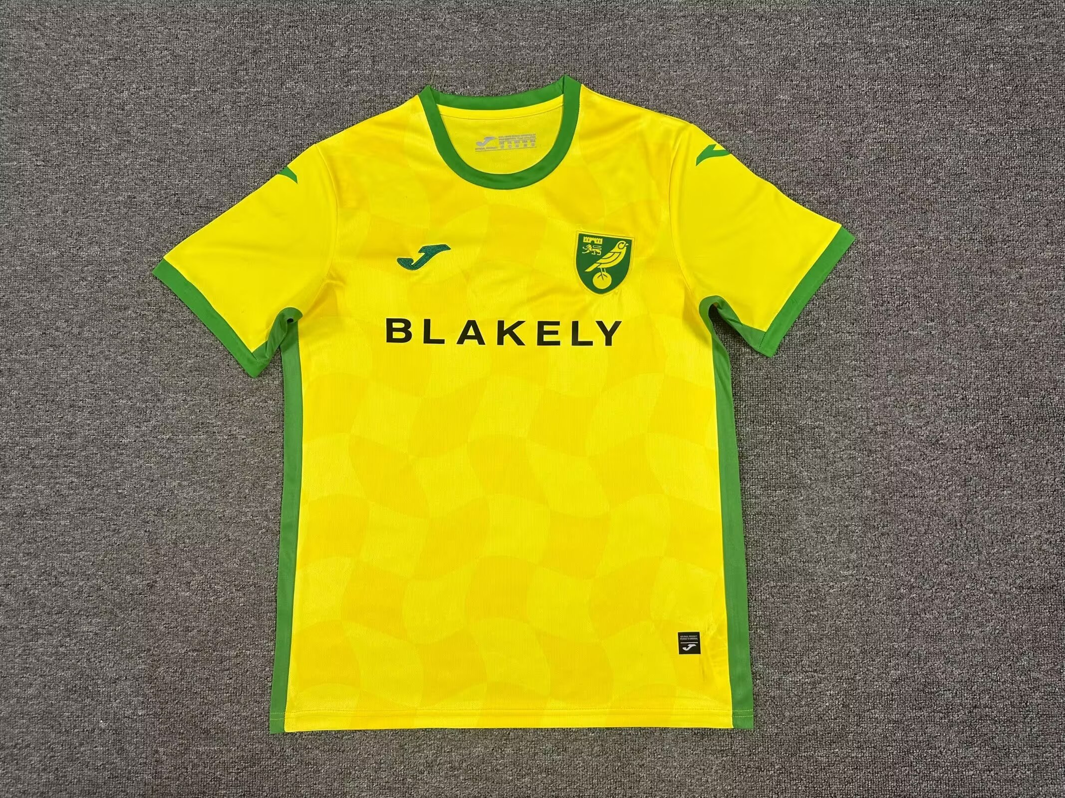 24-25 Norwich City Home Soccer Jerseys Yupoo