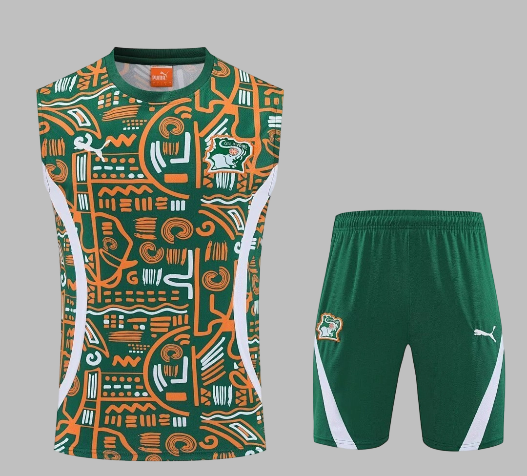 26 Ivory Coast Training Soccer Suit Yupoo6