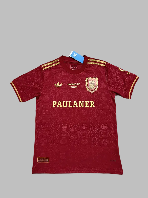 25-26 Bayern 125th Anniversary Cheap Soccer Jerseys Yupoo
