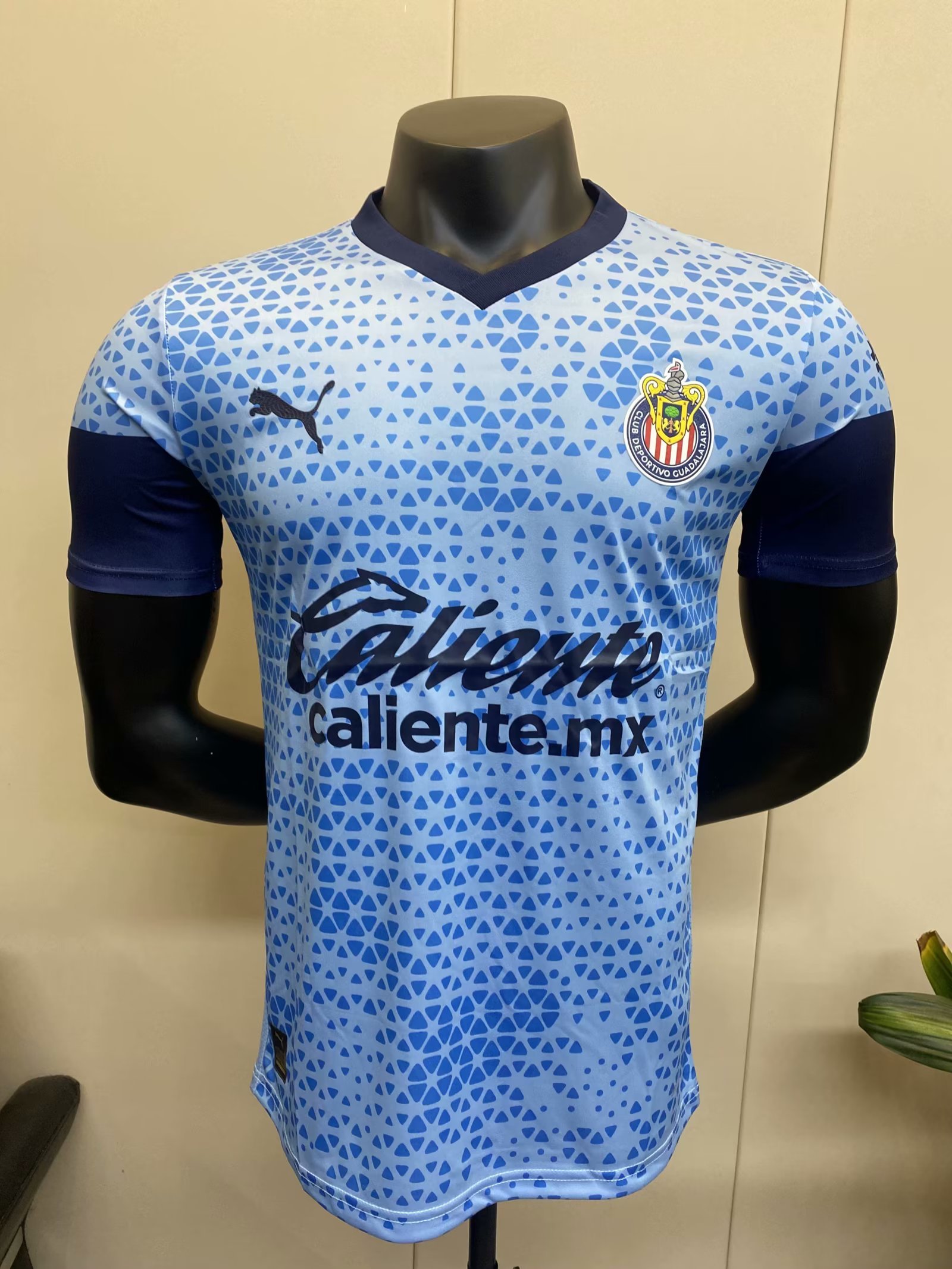 23-24 Chivas Training Player Version Soccer Jerseys Yupoo