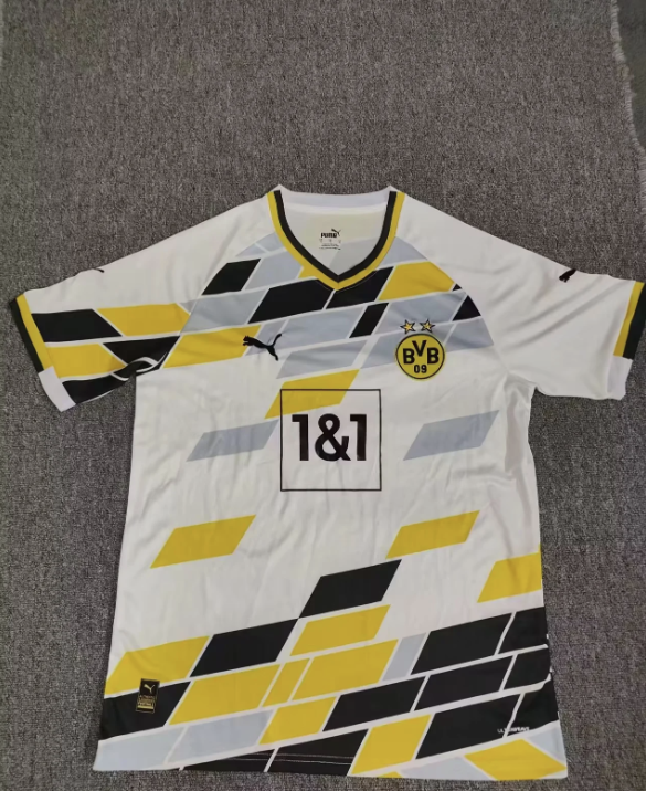 24-25 Dortmund Training Soccer Jerseys Yupoo