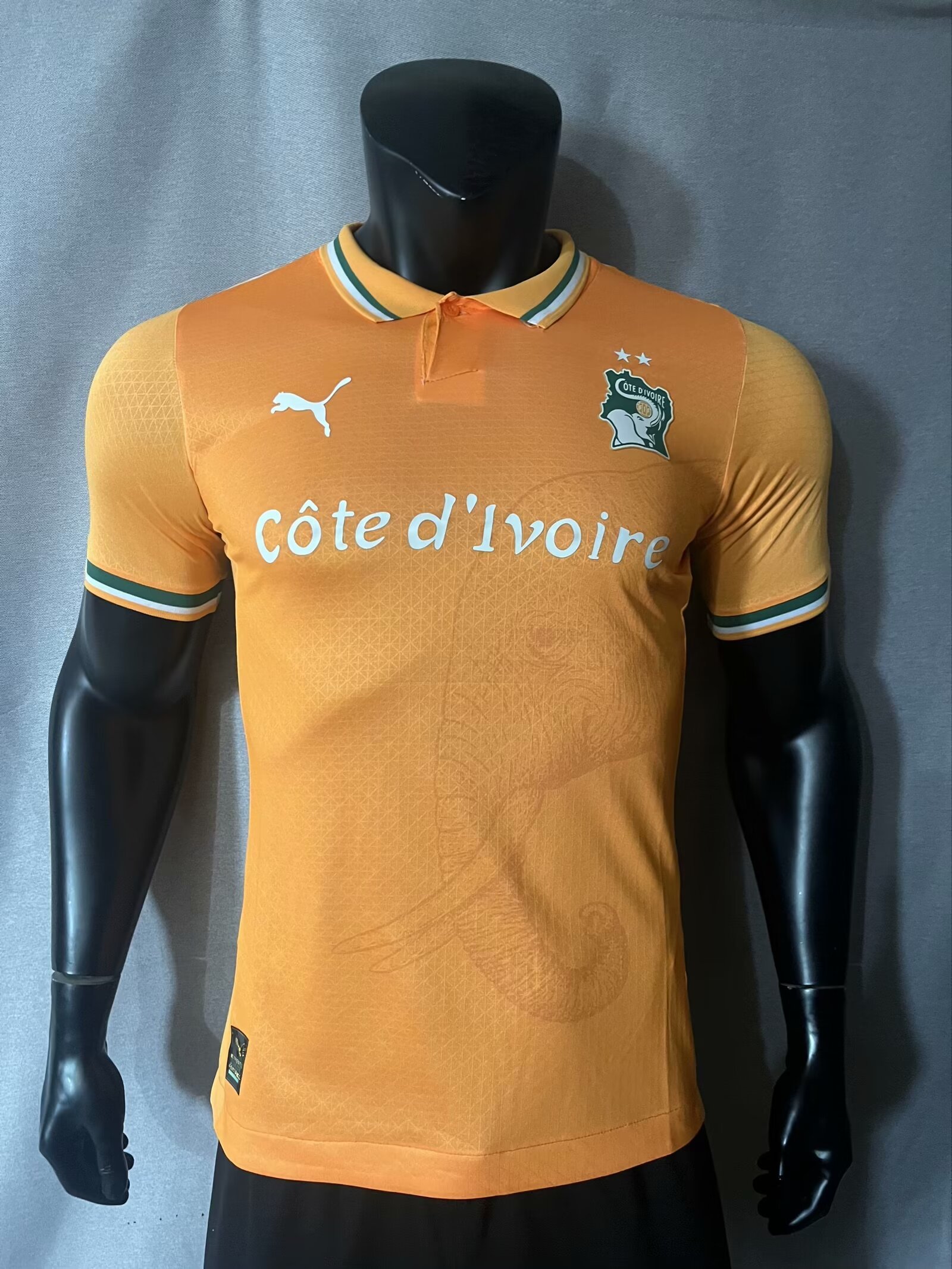 23-24 Ivory Coast Player Version Soccer Jerseys Yupoo