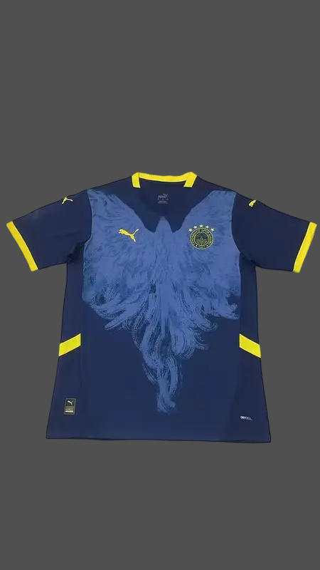 25-26 Fenerbahce Special Cheap Soccer Jerseys Yupoo