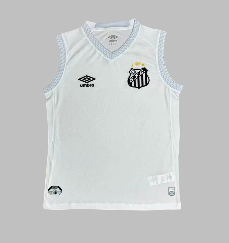 25-26 Santos Home Training Soccer Vest Yupoo