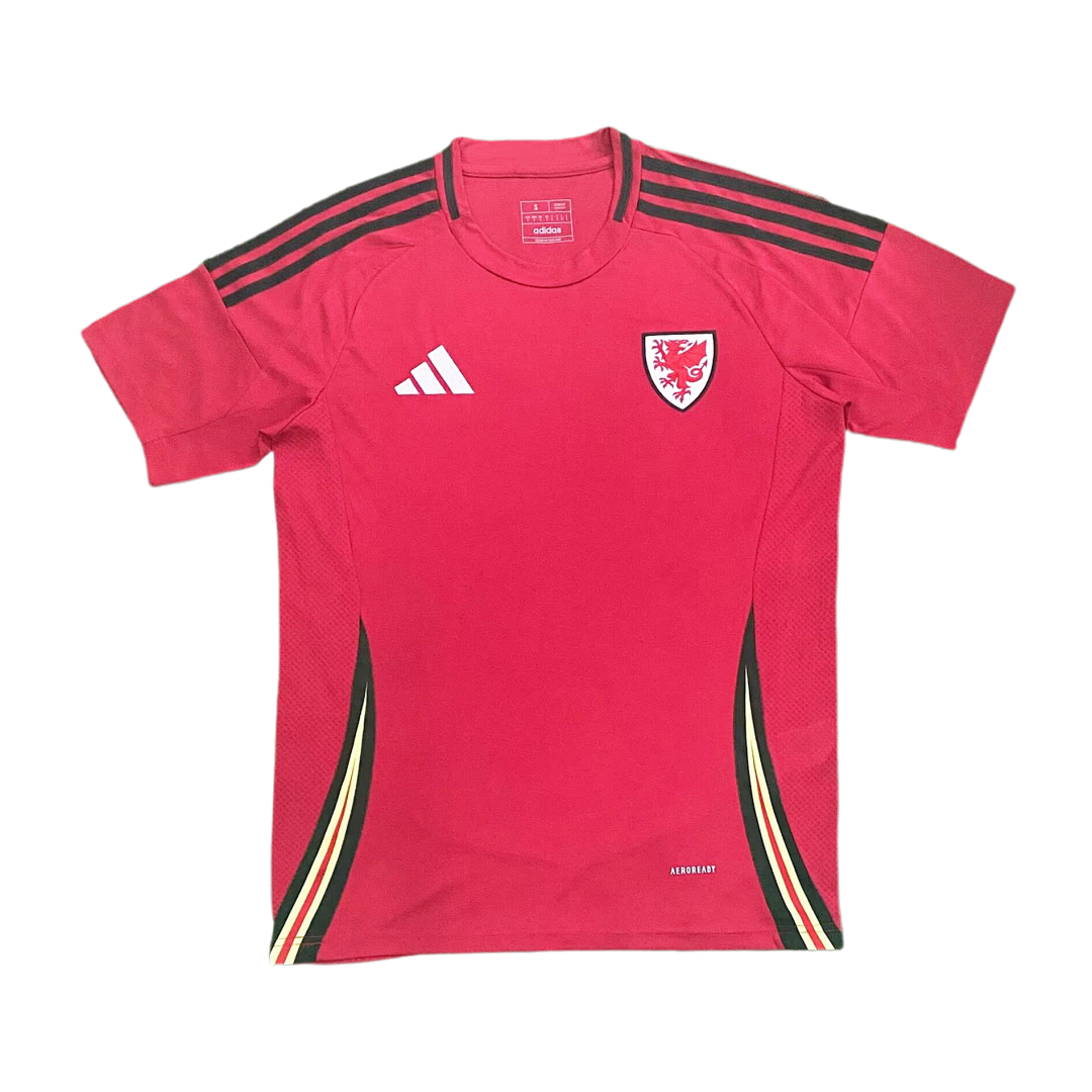 Wales 2024/25 Euro Home Jersey