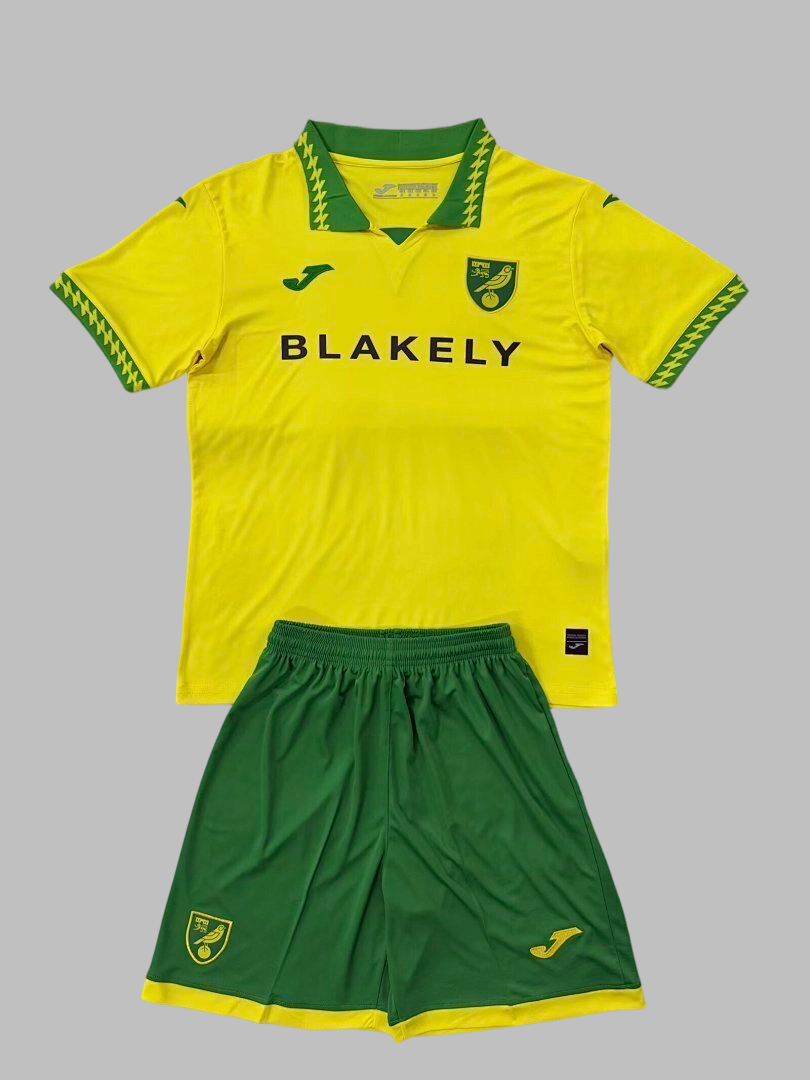 25-26 Norwich City Home Cheap Soccer Jerseys Yupoo