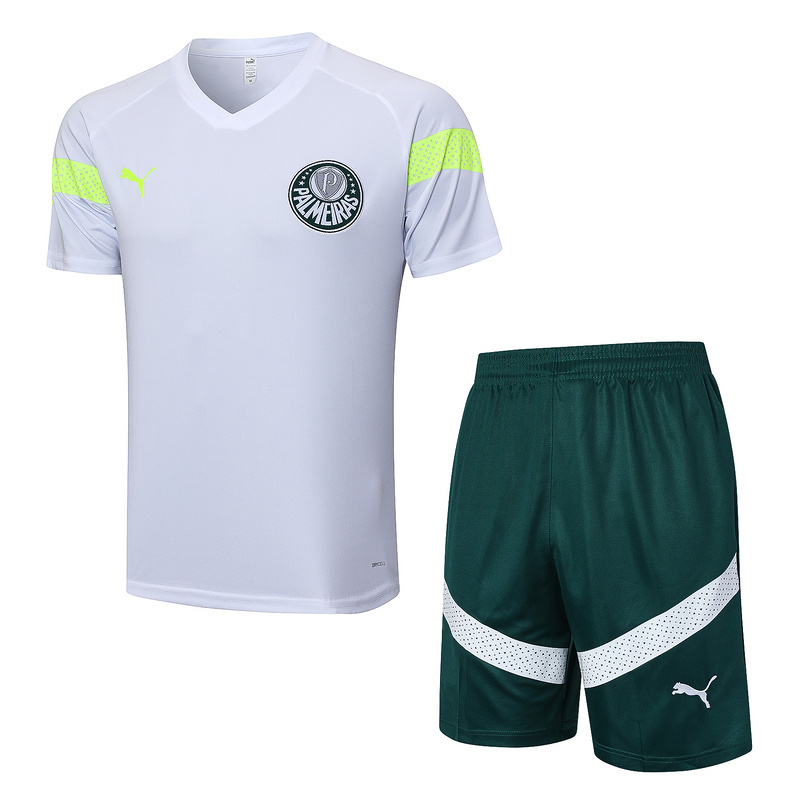 23-24 Palmeiras Training Soccer Jerseys Yupoo
