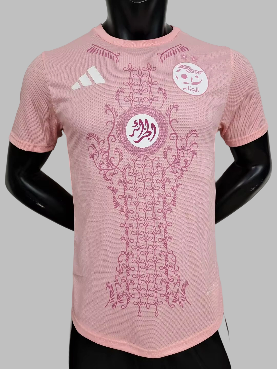 25-26 Algeria Special Soccer Jerseys- Player Version