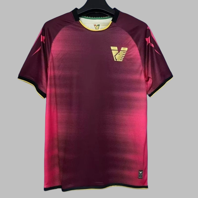 25-26 Venezia Training Cheap Soccer Jerseys Yupoo