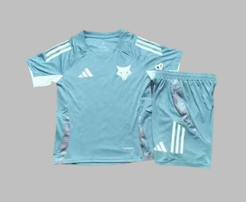 25-26 Cruzeiro Kids Cheap Soccer Jerseys Yupoo