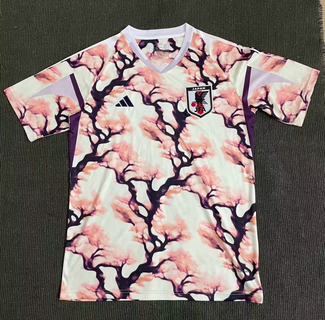 23-24 Japan Concpet Soccer Jerseys Yupoo