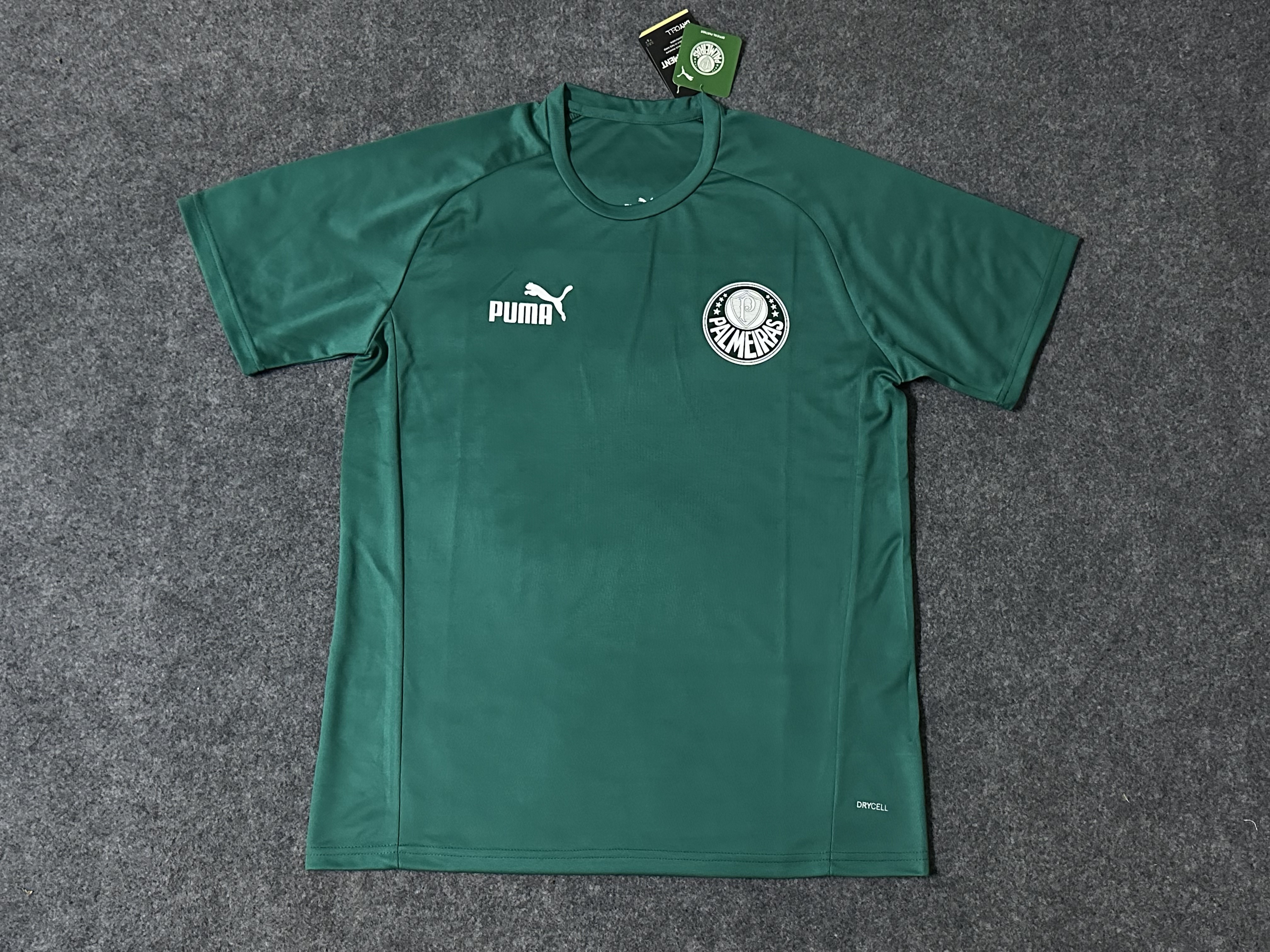 23-24 Palmeiras Training Soccer Jerseys Yupoo