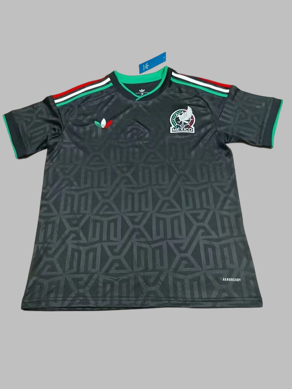 25-26 Mexico Training Cheap Soccer Jerseys Yupoo