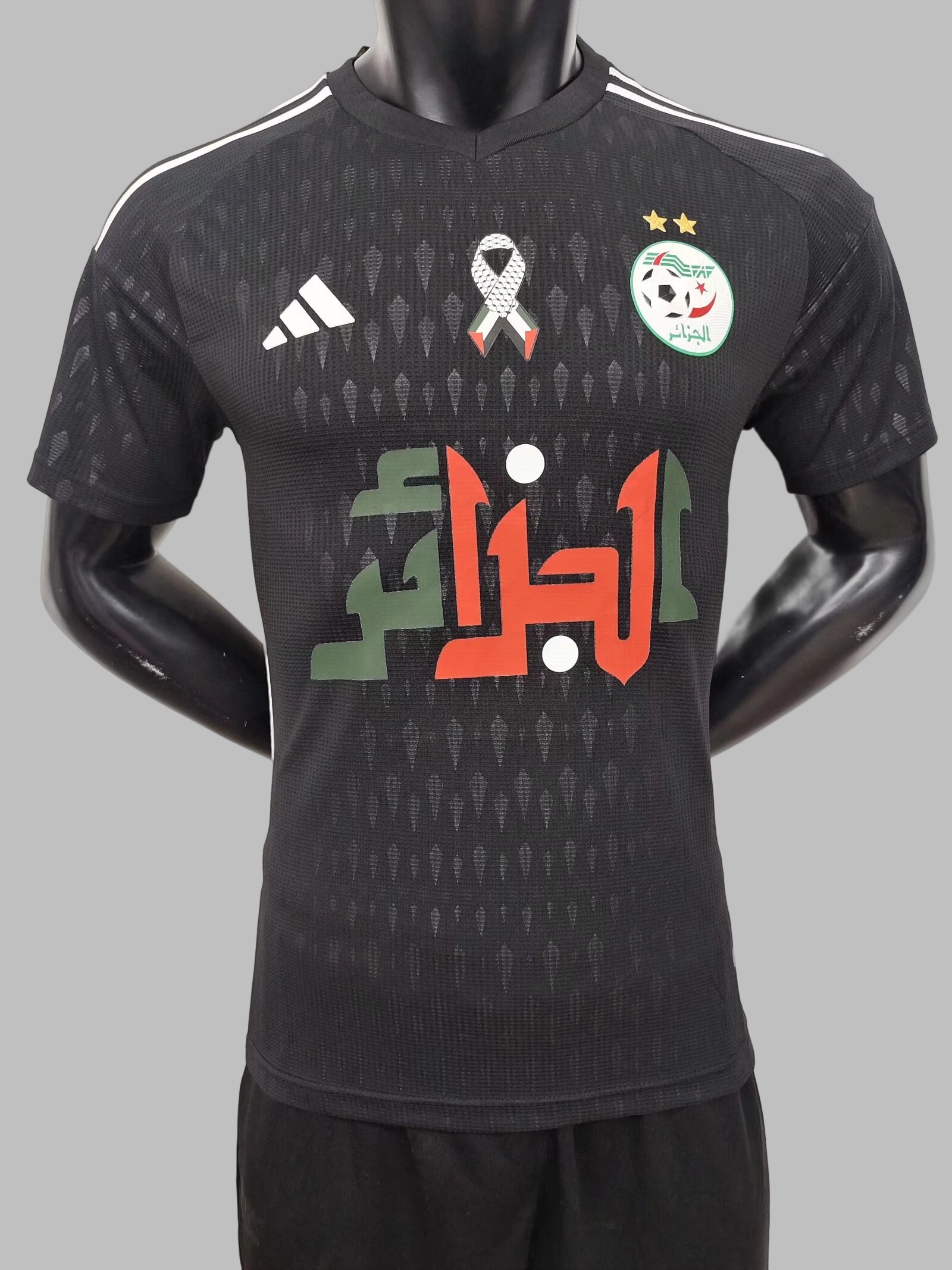 24-25 Algeria Special Soccer Jerseys- Player Version