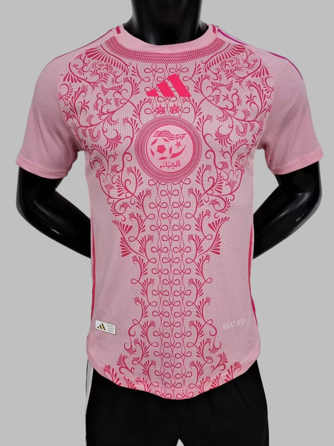 25-26 Algeria Special Soccer Jerseys- Player Version
