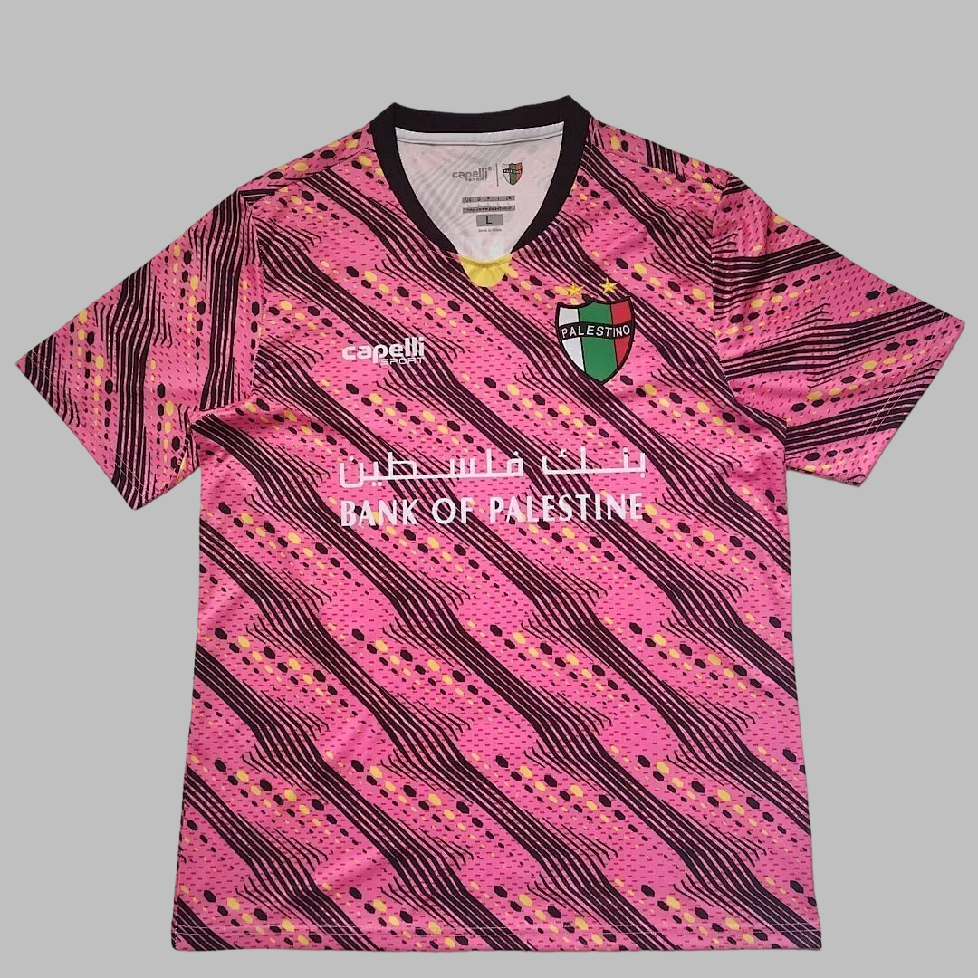 2026 Palestine Special Cheap Soccer Jerseys Yupoo