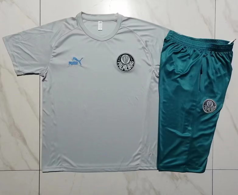 23-24 Palmeiras Short Sleeve Training Suit Yupoo