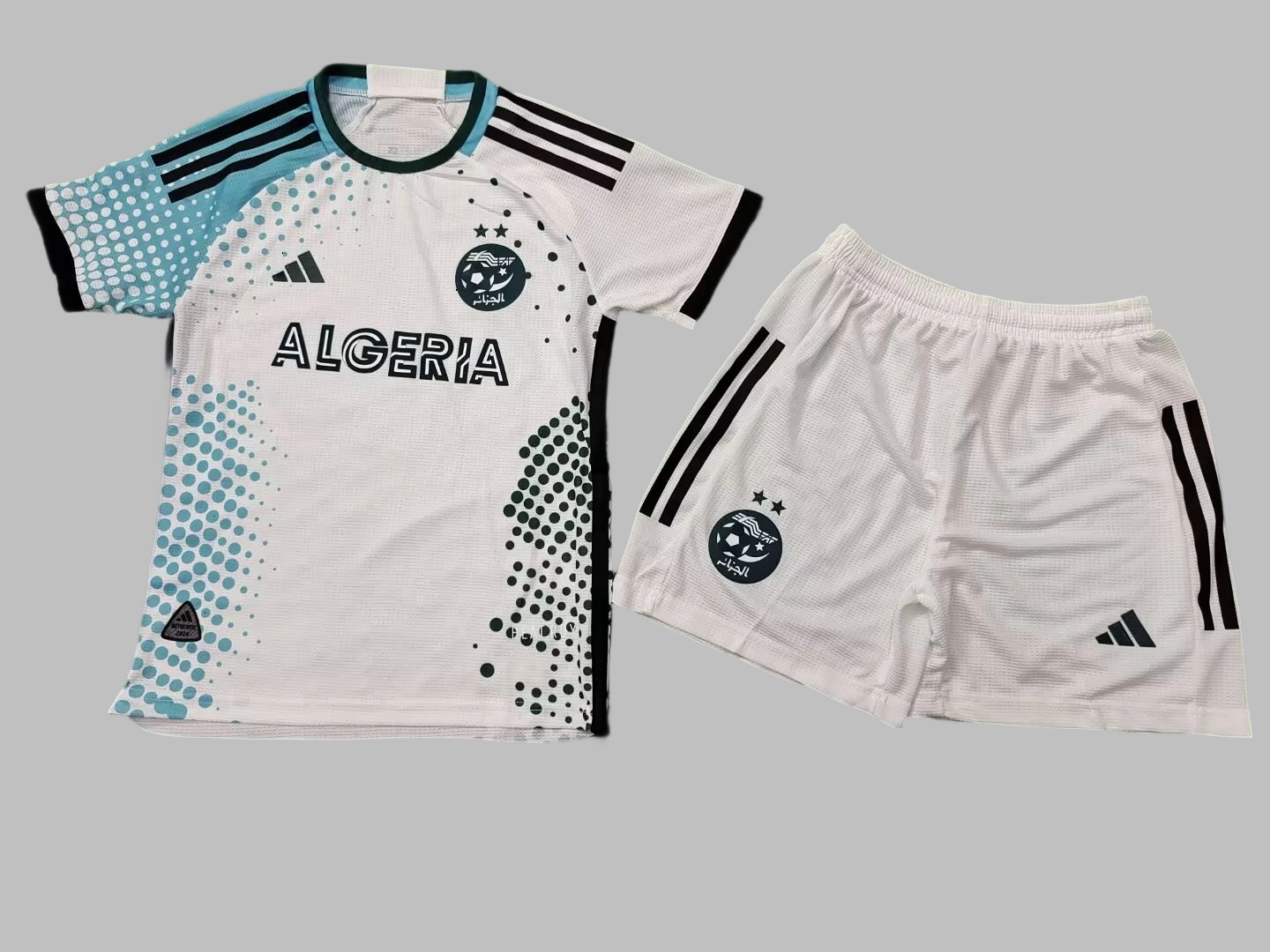 Algeria 25/26 Kids Soccer sleeves+shorts