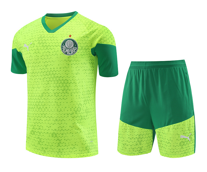 24-25 Palmeiras Training Soccer Jerseys Yupoo